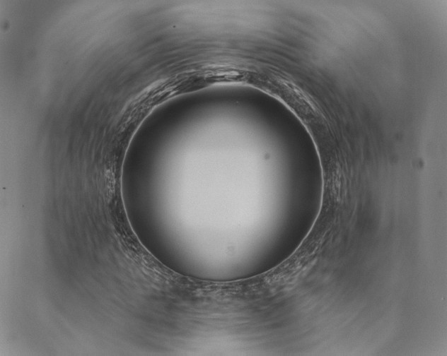 X0000089740821200706211459