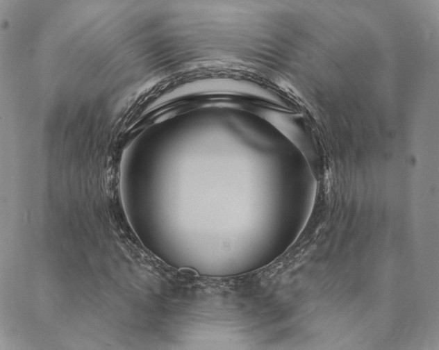 X0000089740822200706211459