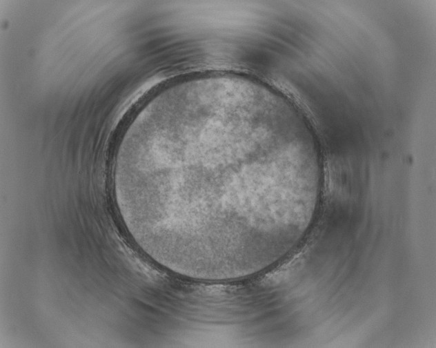 X0000089740828200706211500