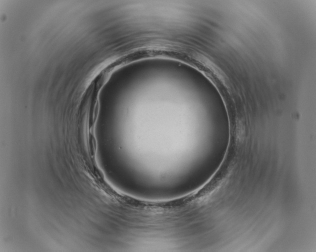 X0000089740829200706211500