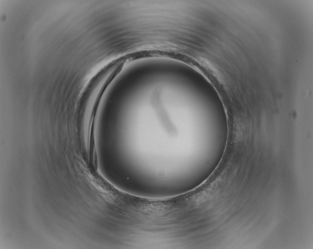 X0000089740830200706211500