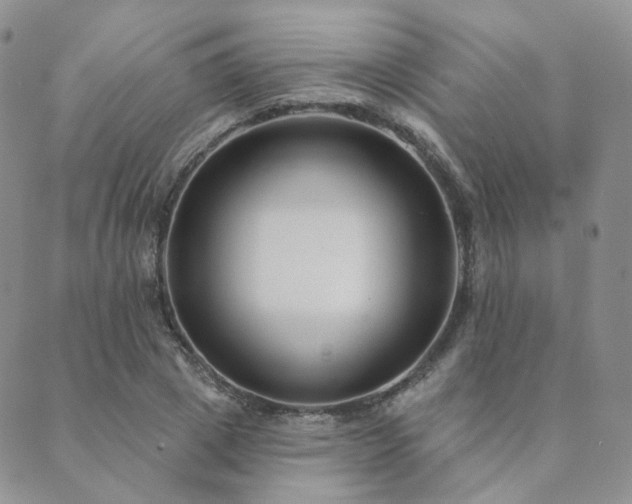 X0000089740833200706211500