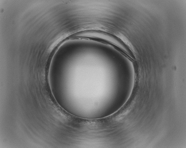 X0000089740834200706211500