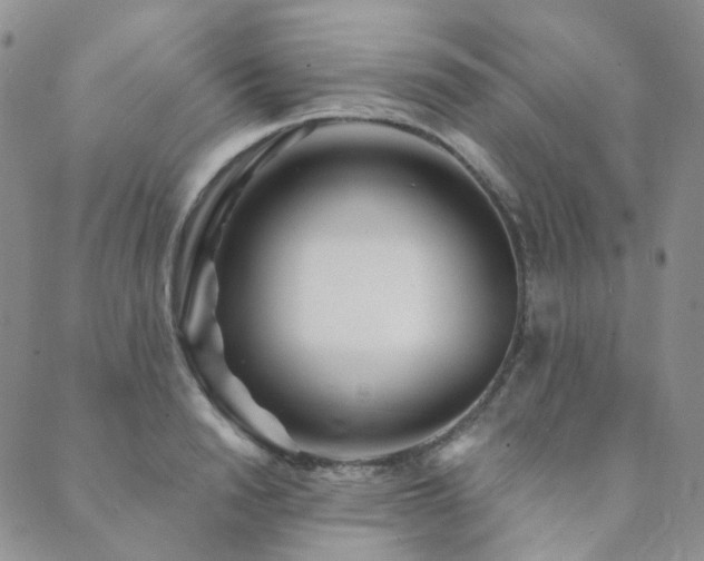 X0000089740846200706211500