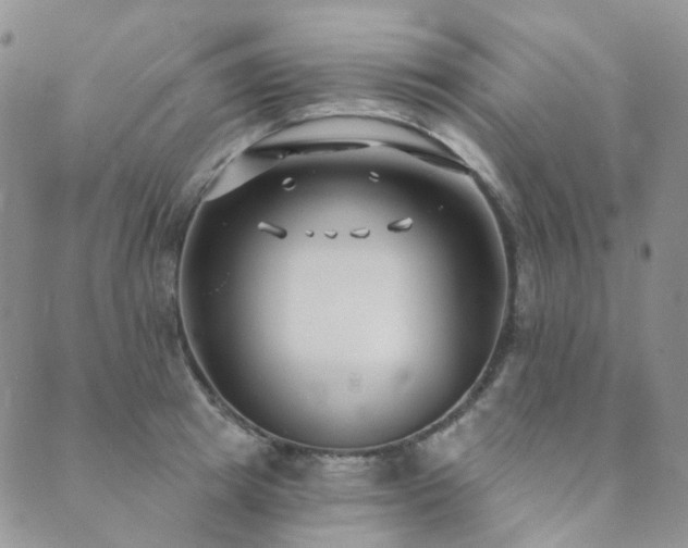 X0000089740849200706211500