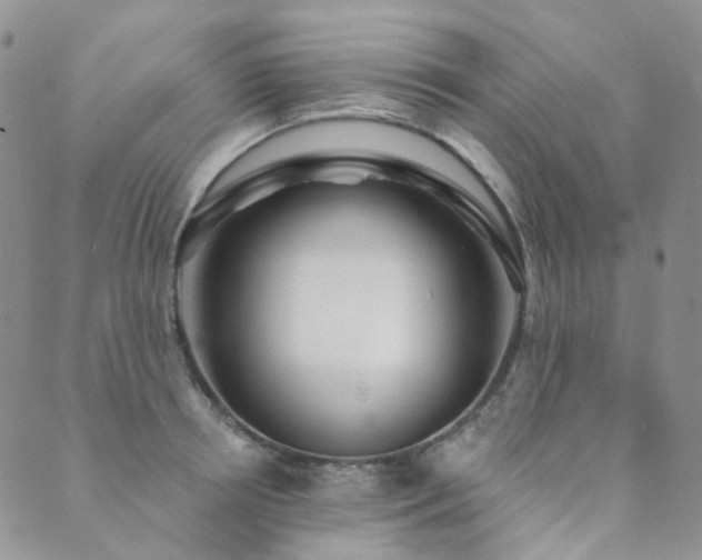 X0000089740850200706211500