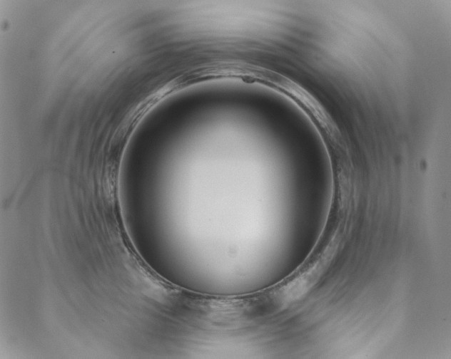 X0000089740857200706211500
