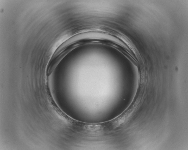 X0000089740858200706211500