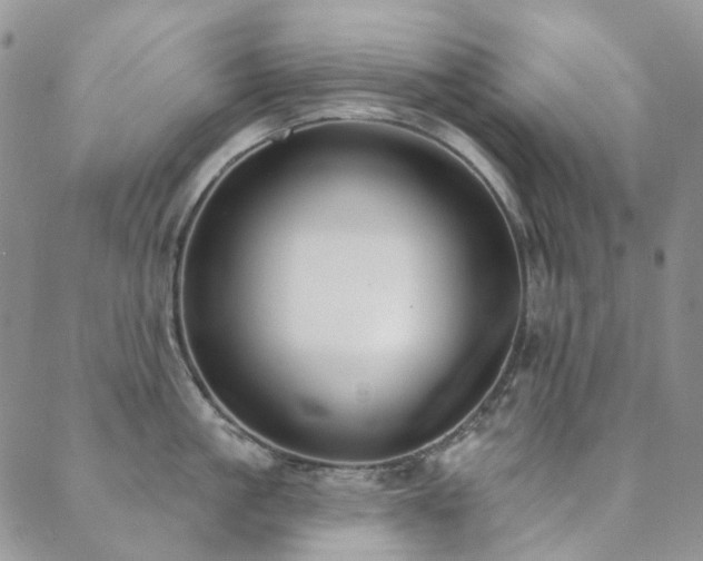 X0000089740861200706211500