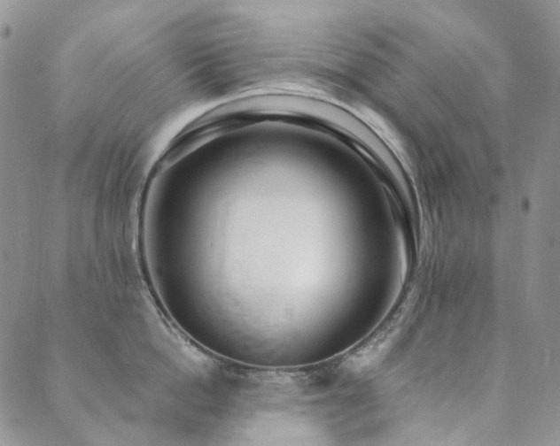 X0000089740862200706211500