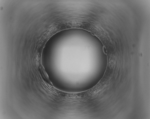 X0000089740866200706211459