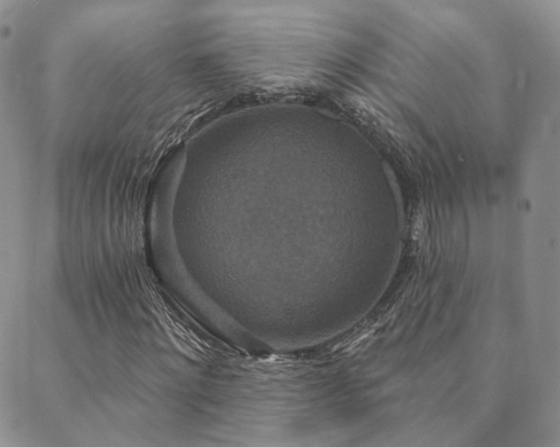 X0000089740868200706211459