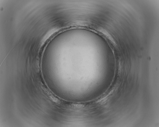 X0000089740878200706211459