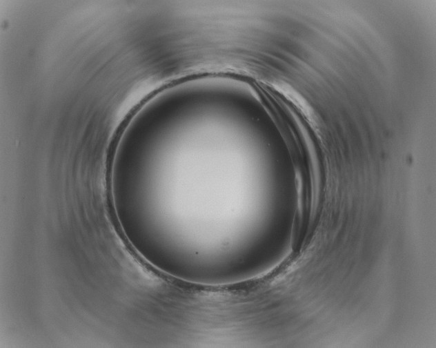 X0000089740894200706211459