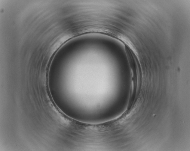 X0000089740898200706211459
