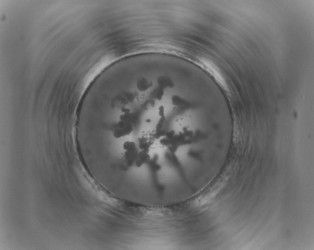 X0000089740899200706211459