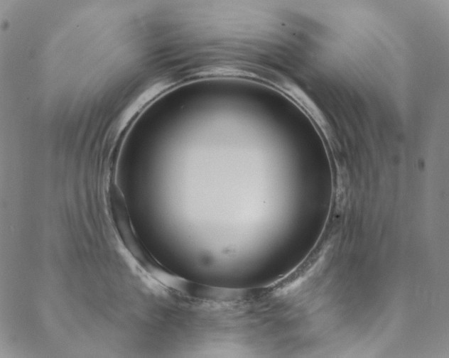 X0000089740909200706211459
