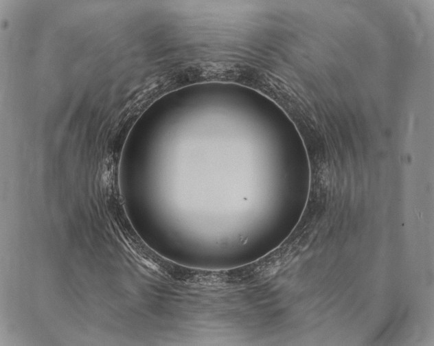 X0000089740914200706211458
