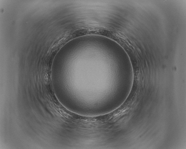 X0000089740916200706211458