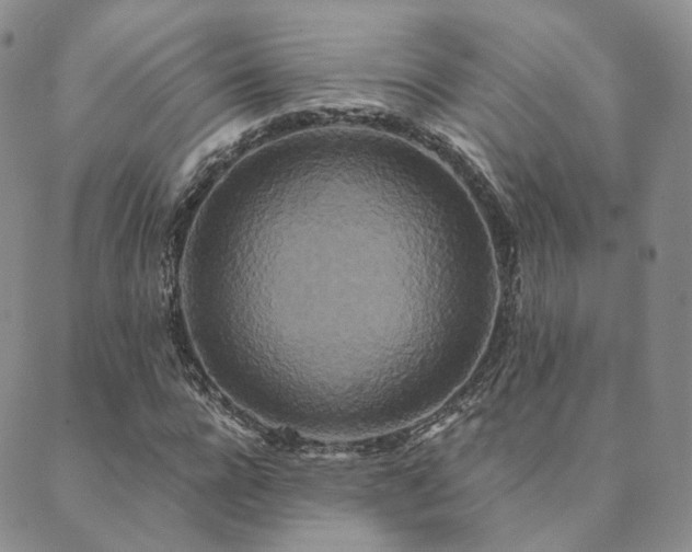 X0000089740920200706211458