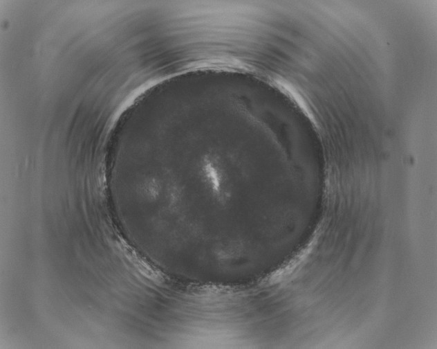 X0000089740923200706211458