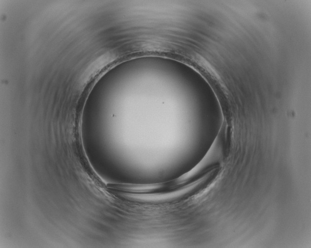 X0000089740930200706211458