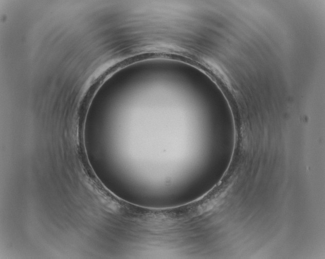 X0000089740931200706211458
