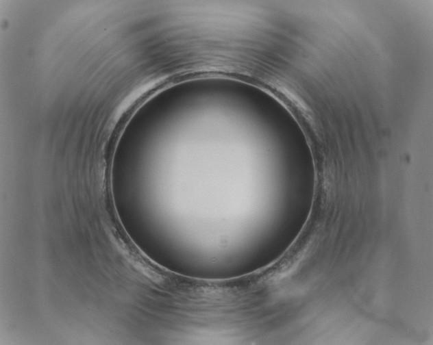 X0000089740933200706211458