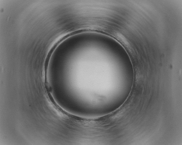 X0000089740940200706211458
