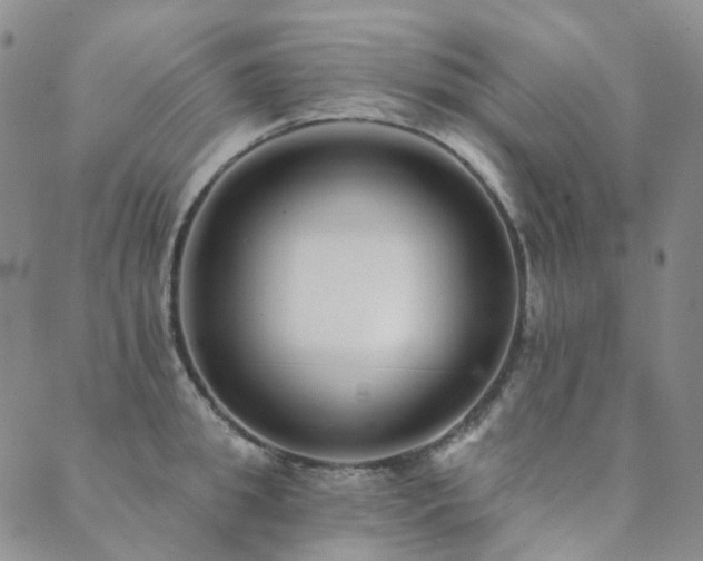X0000089740949200706211458