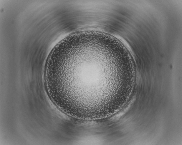 X0000089740957200706211459