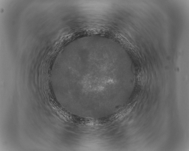 X0000089740961200706211458