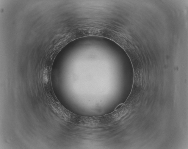 X0000089740962200706211458