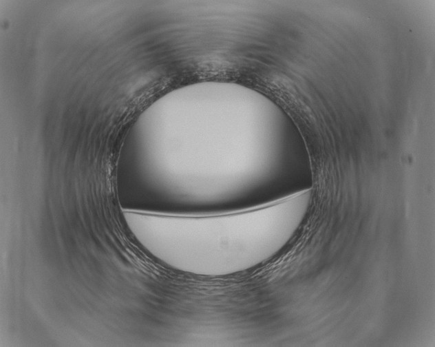 X0000089740964200706211458