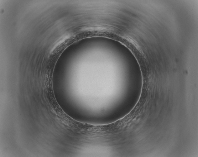 X0000089740967200706211458