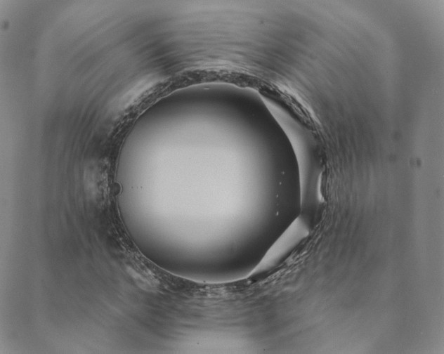 X0000089740968200706211458