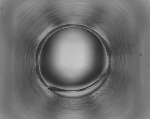 X0000089740972200706211458