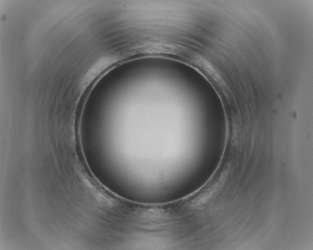 X0000089740986200706211457
