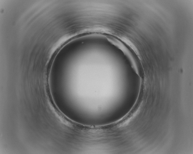 X0000089740989200706211457