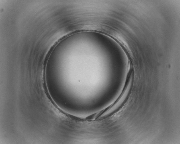 X0000089740992200706211457