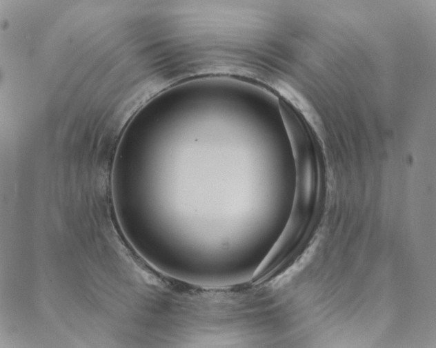 X0000089740993200706211457