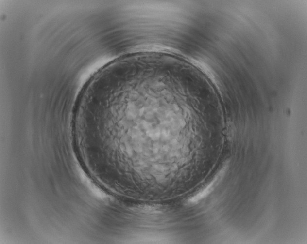 X0000089740995200706211457