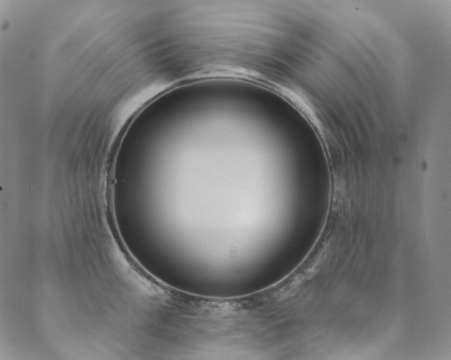 X0000089741003200706211457
