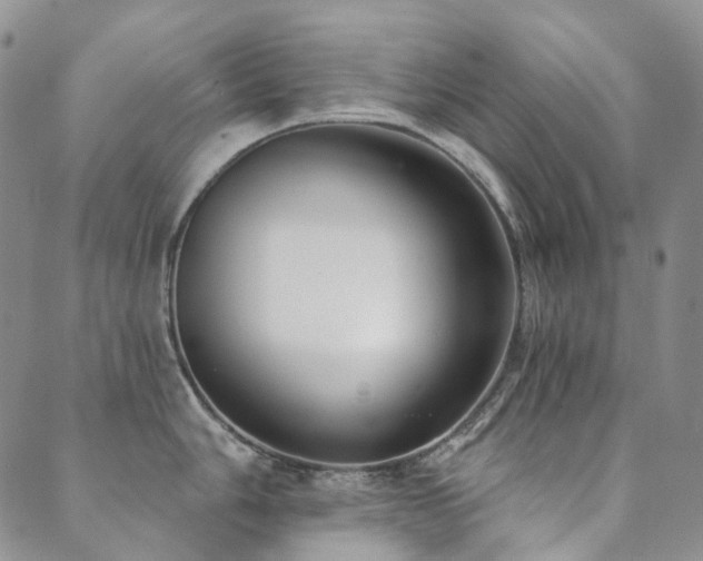 X0000089741006200706211457
