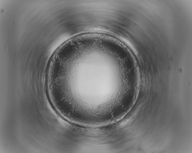 X0000089741007200706211457