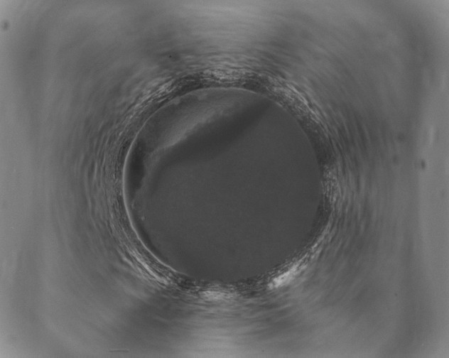X0000089741009200706211456