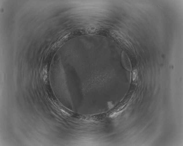 X0000089741011200706211456