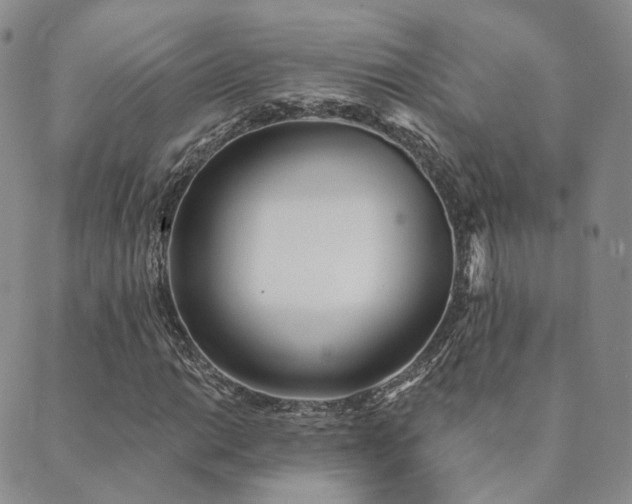 X0000089741014200706211456