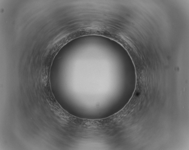 X0000089741015200706211456