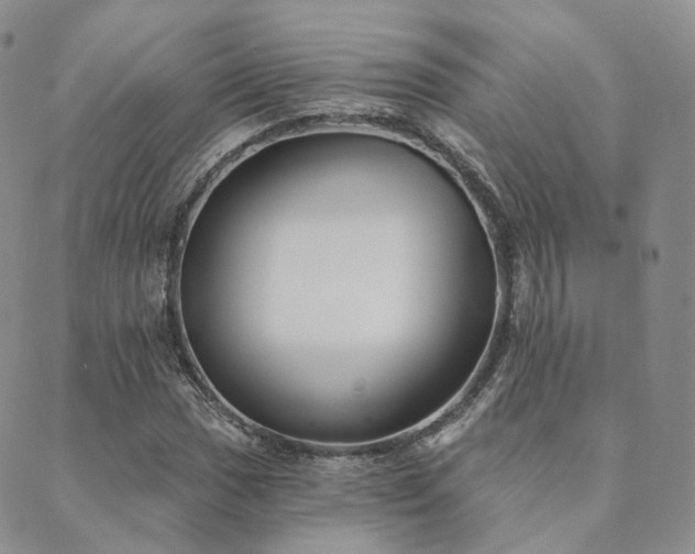 X0000089741017200706211456